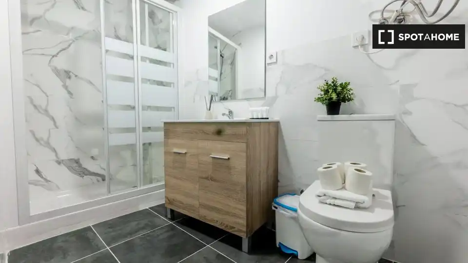 Bathroom of Flat for rent in Madrid  with Air Conditioner, Heating and Furnished