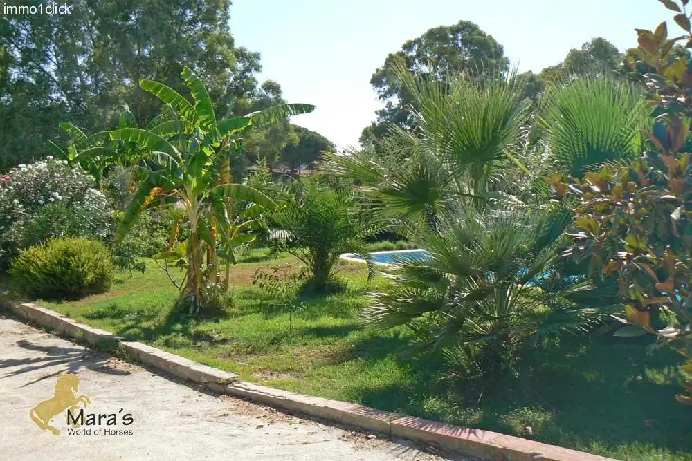 Residential land for sale in La Puebla del Río, imagen 4