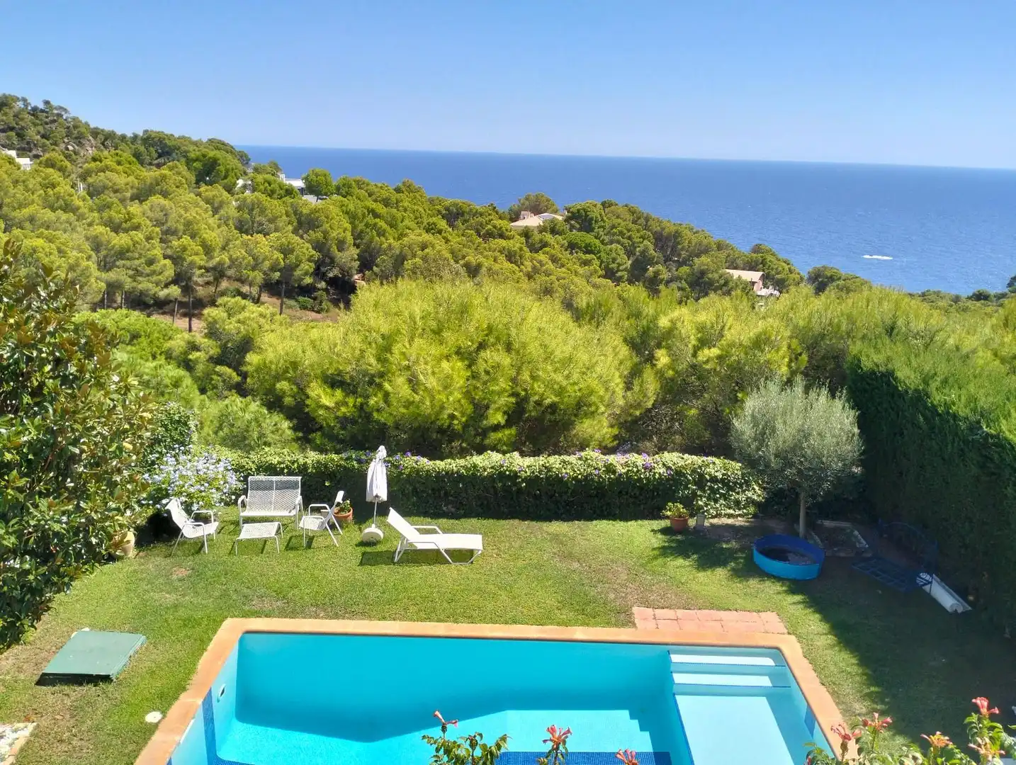 Xalet amb piscina en venda a Aneto