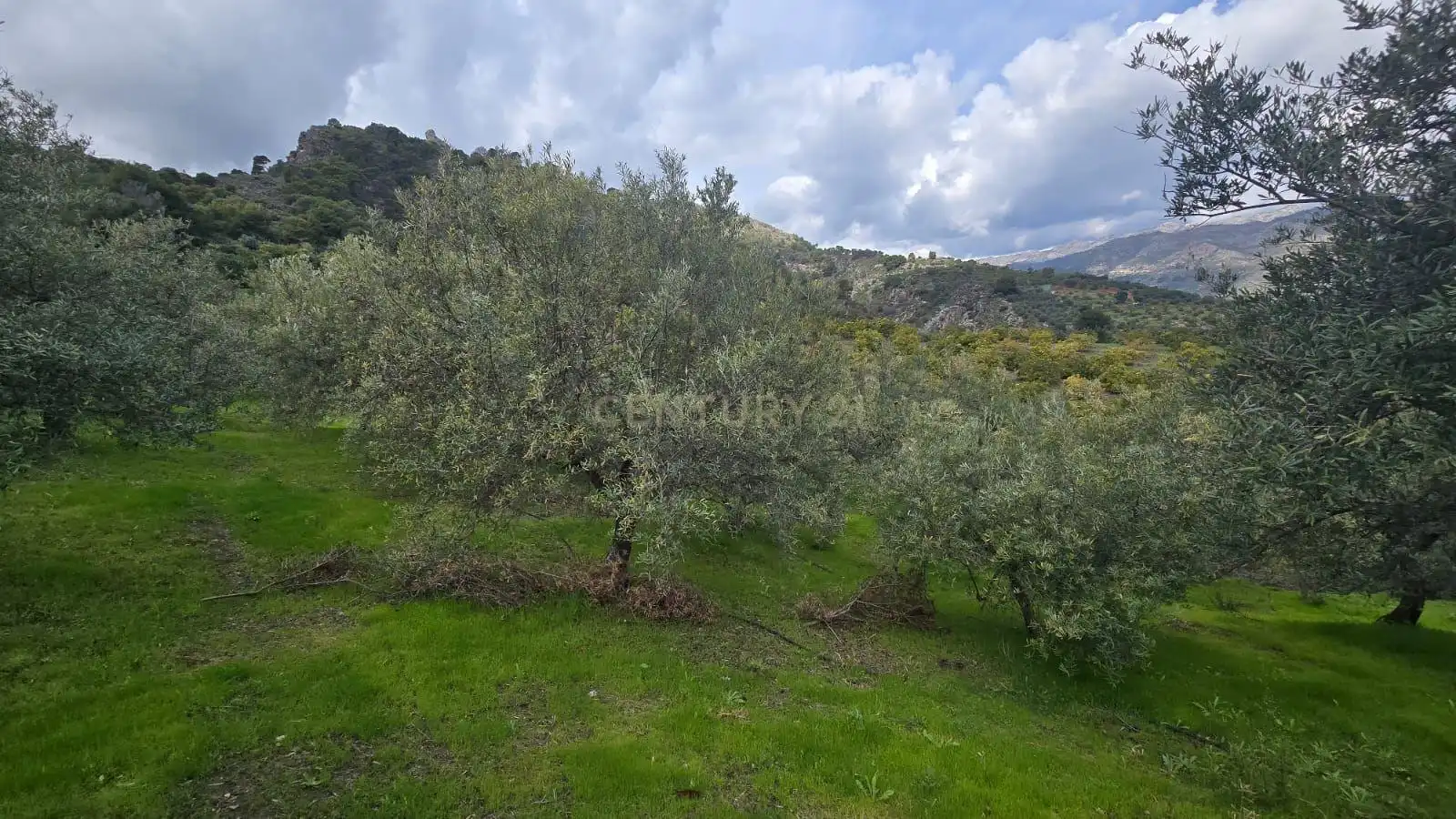 Terreno rustico in vendita a Polígono 11 Parcela 108 EL CERRILLAR. LOS GUAJARES (GRANADA), imagen 7