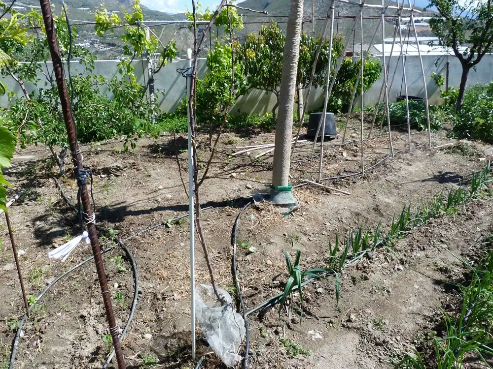 Jardín de Finca rústica en venta en Salobreña con Aire acondicionado, Calefacción y Terraza