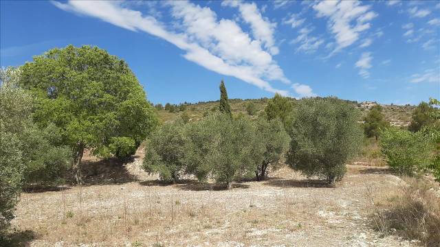 Terreno residencial en Venta en LES ALQUERIES 7 PARTIDA.NUMERO 6 Polígono 6 Parcel en Santa Ana