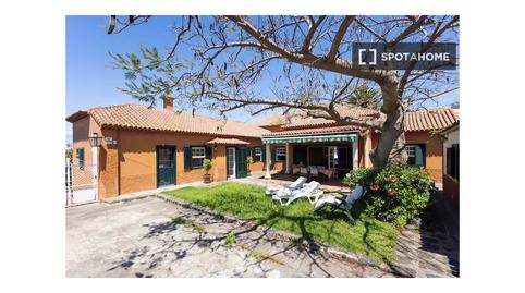 Foto 5 de Apartament per a compartir a Zona Botánico, Santa Cruz de Tenerife