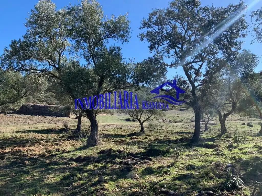 Finca rústica en venta en Fuente Obejuna con Trastero
