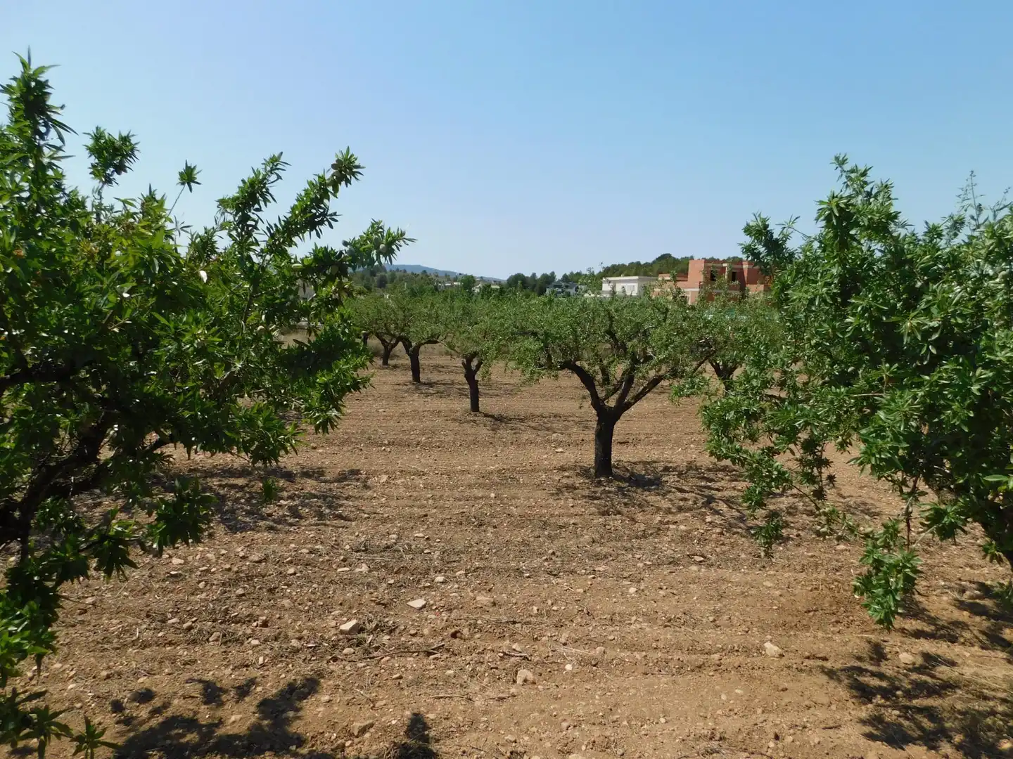 Residential land for sale in Carretera Carretera Llano de Béjar 5, imagen 6
