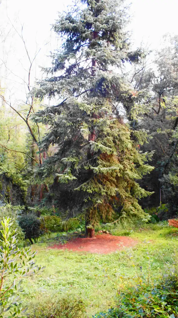 Casa rustica con giardino in vendita a L'Ametlla del Vallès, imagen 81