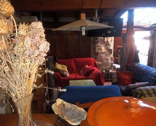 Sala d'estar de Finca rústica en venda en Camarena de la Sierra amb Terrassa
