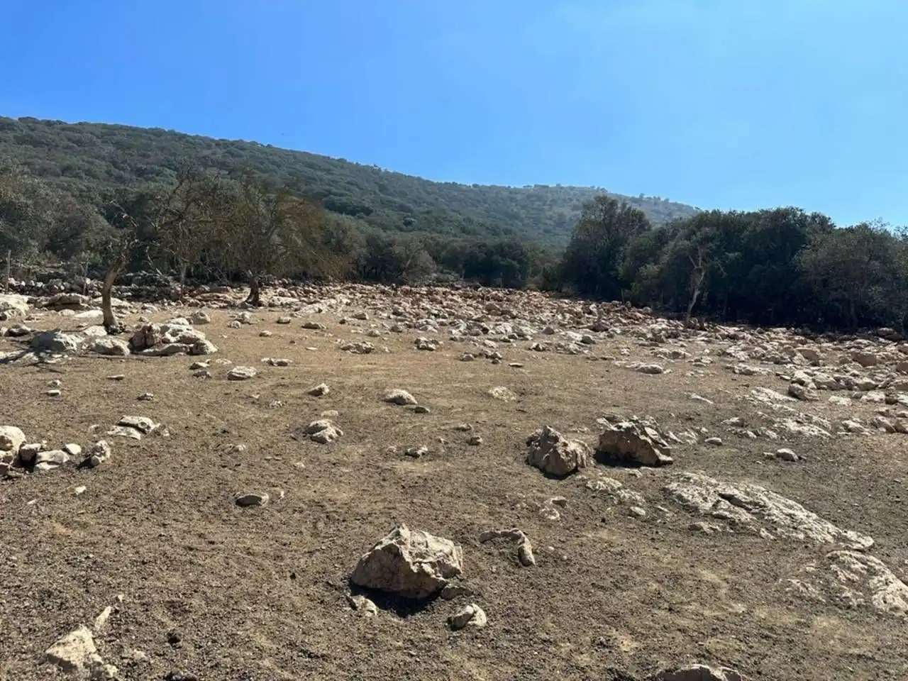 Terreny residencial en venda a Moraleda de Zafayona, imagen 9