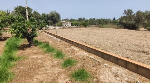 Foto 4 de Finca rústica en venta en Juzgados - Plaza de Toros, Benidorm