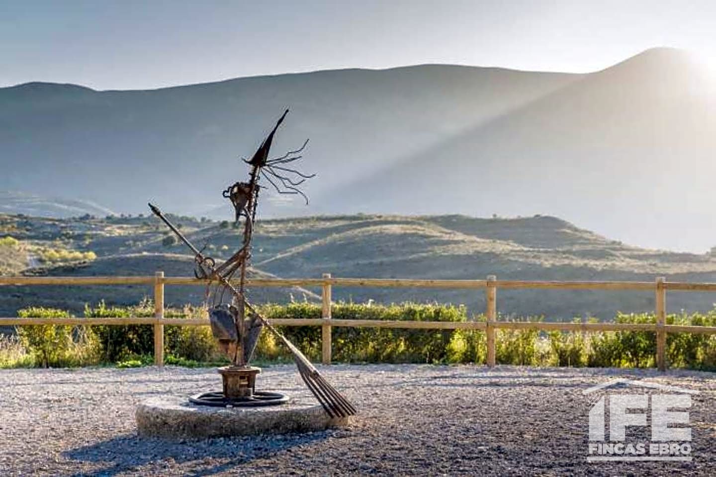 Jardí de Casa o xalet en venda en Maleján amb Terrassa