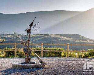 Jardí de Casa o xalet en venda en Maleján amb Terrassa