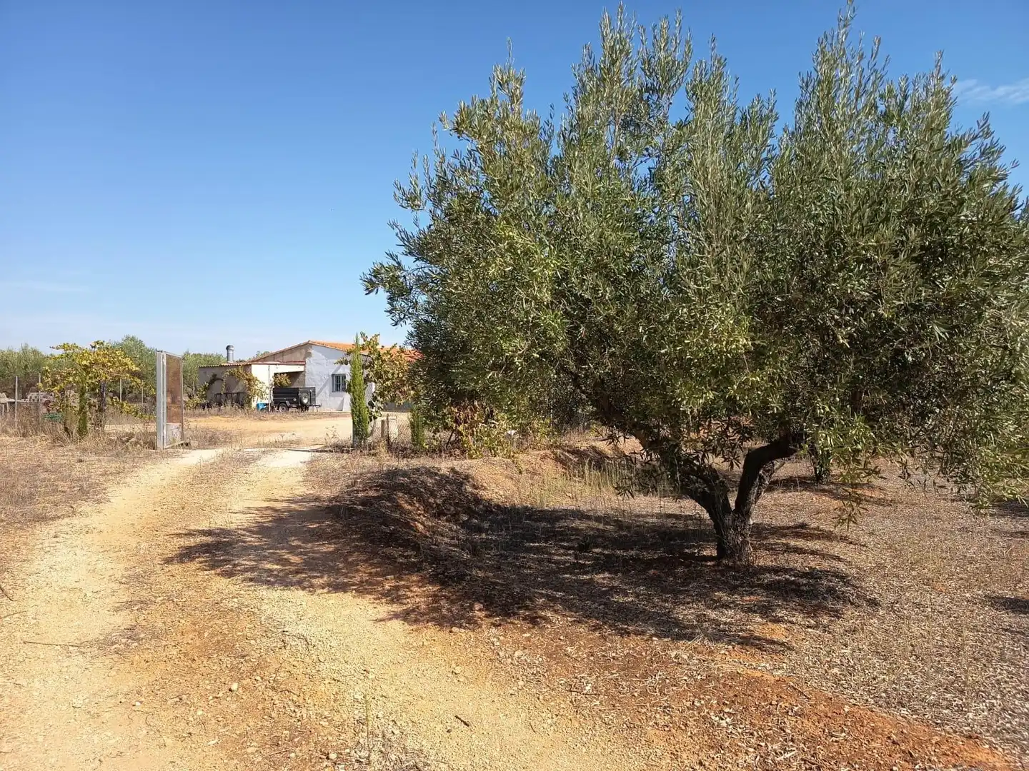 Casa o chalet en venta en Bolbaite