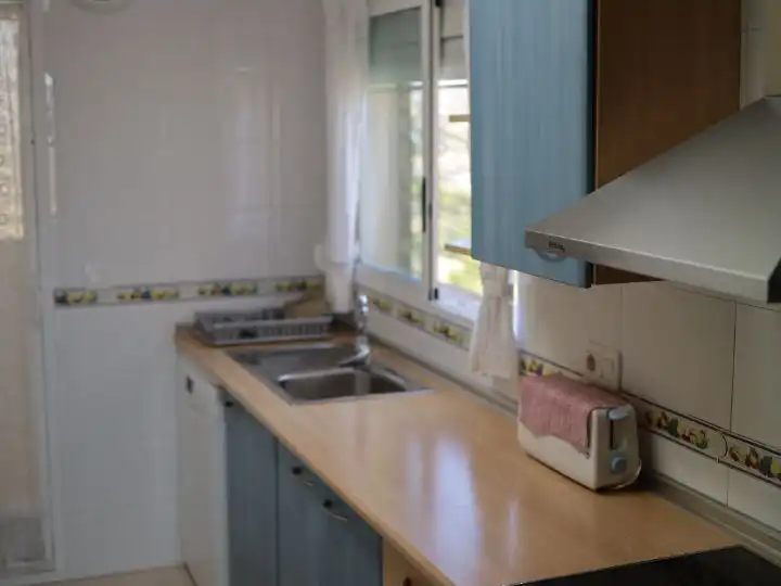 Kitchen of Flat for sale in Playa Muchavista