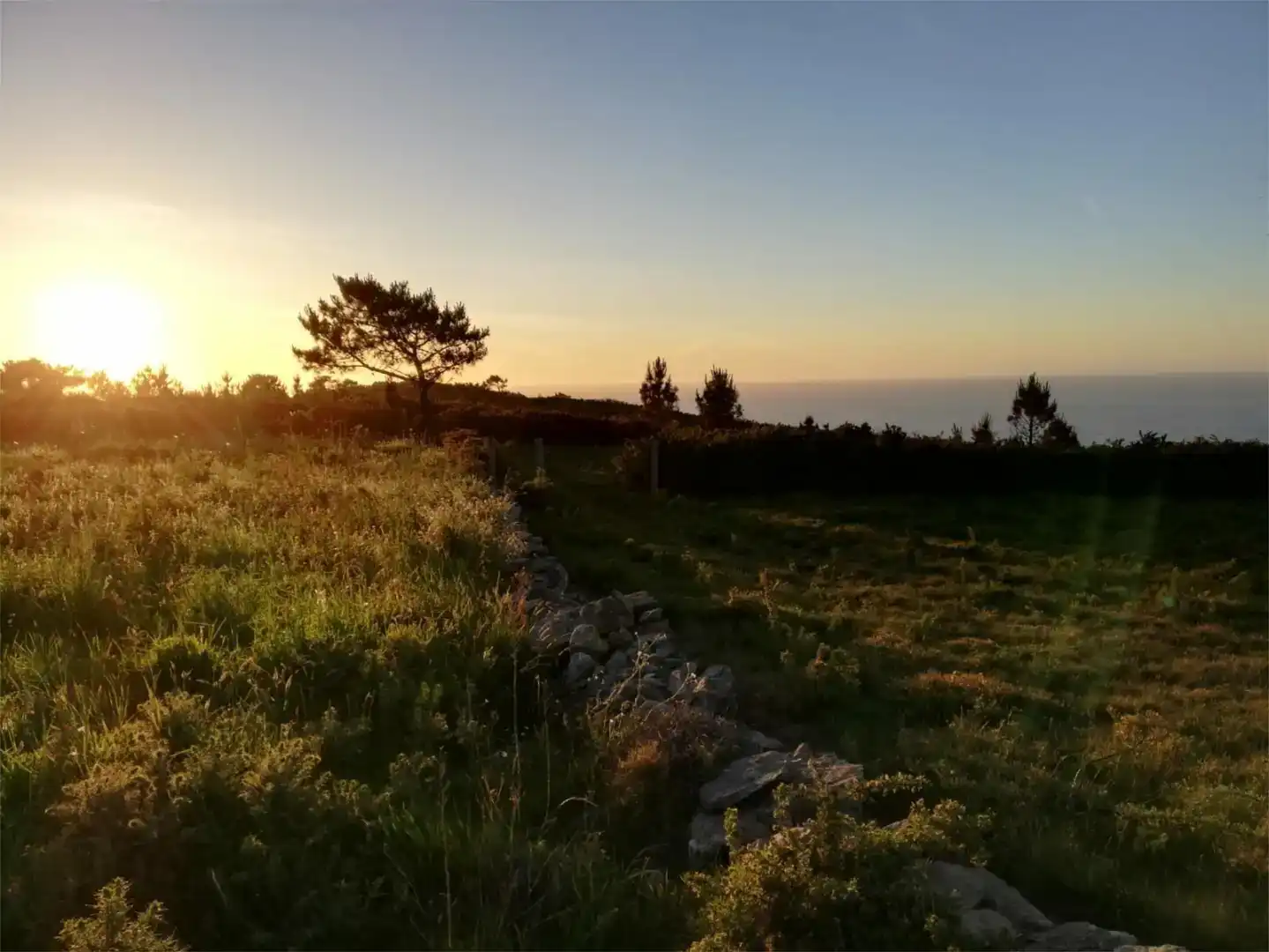 Finca rústica en venda en Tordoia