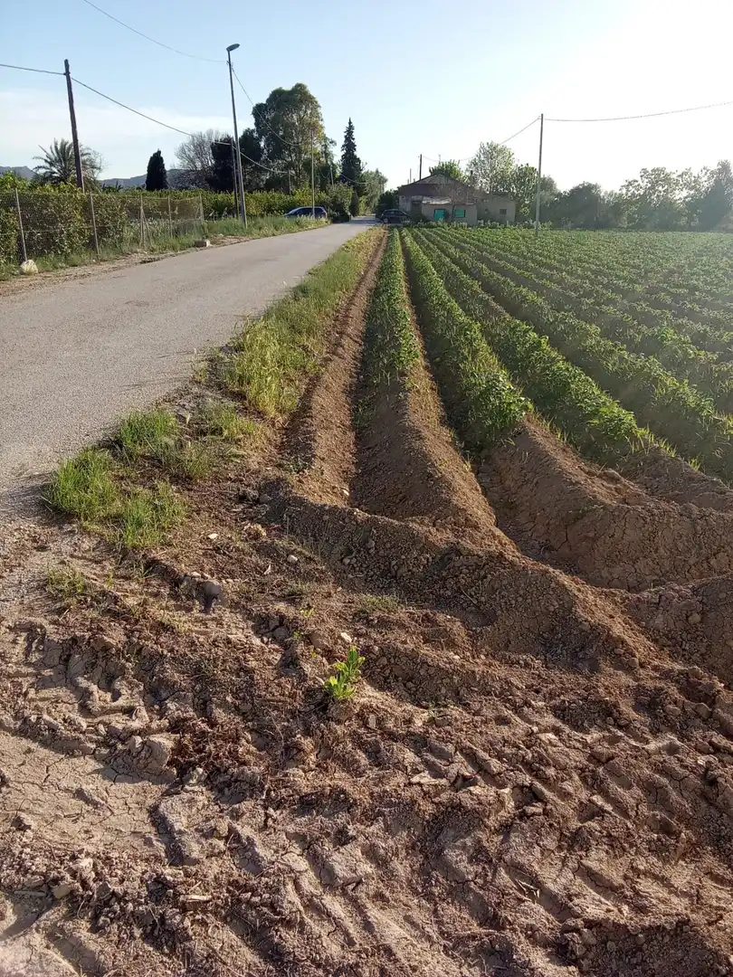 Casa rústica en venda a Desamparados - Hurchillo - Torremendo, imagen 7