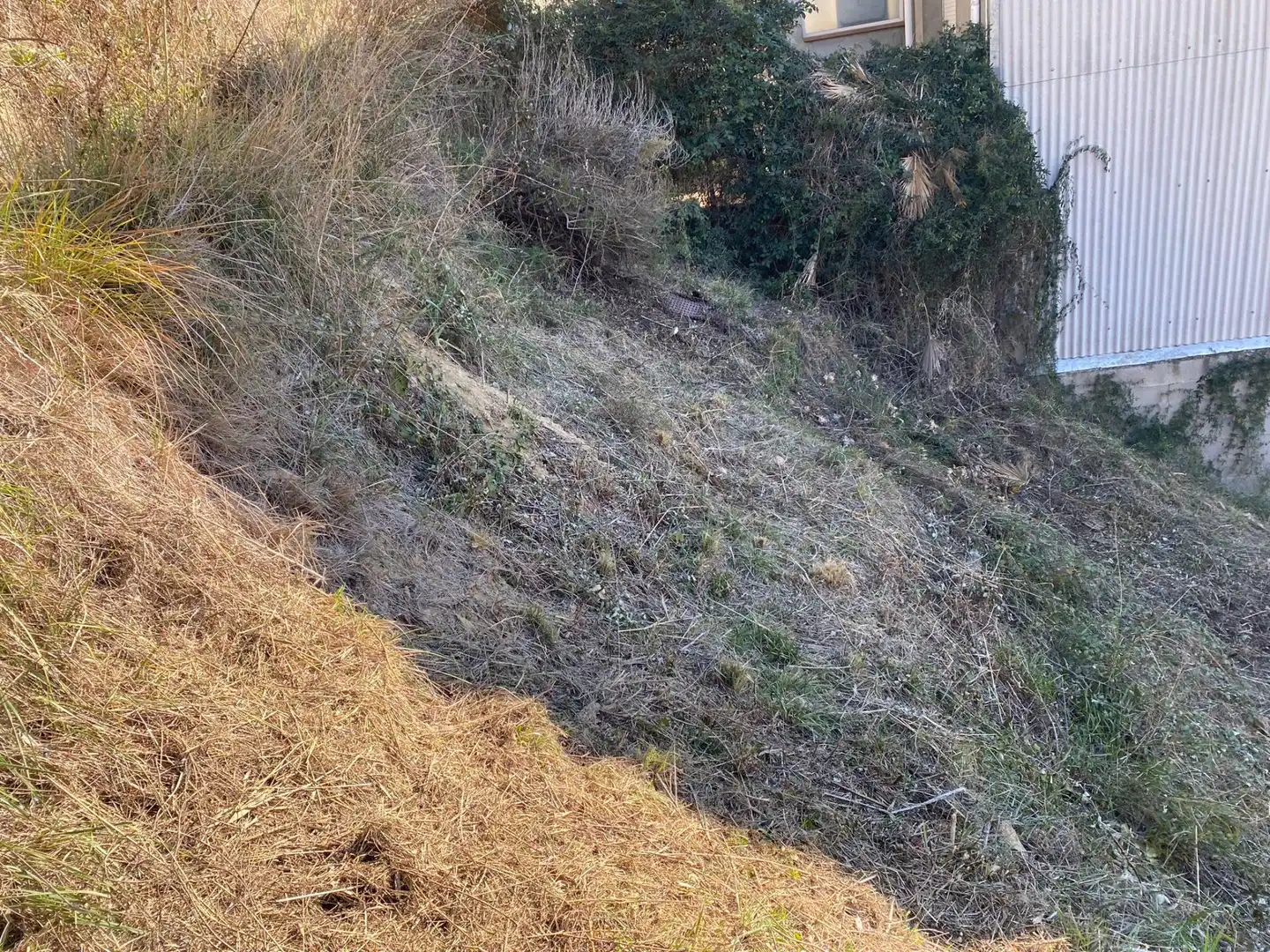 Wohnbaugrundstück zum Verkauf in Sant Celoni, imagen 5