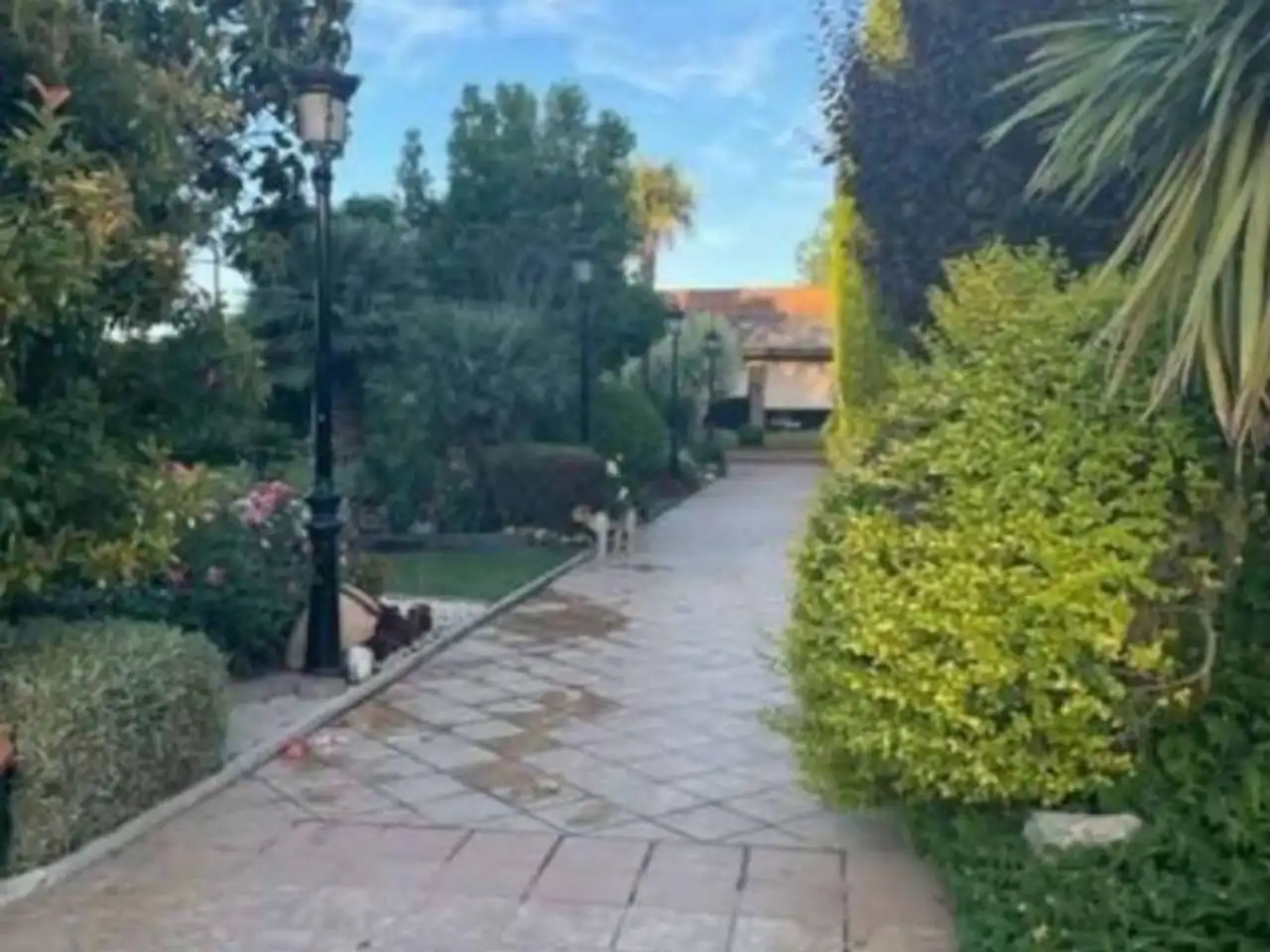 Jardín de Casa o chalet en venta en Balaguer