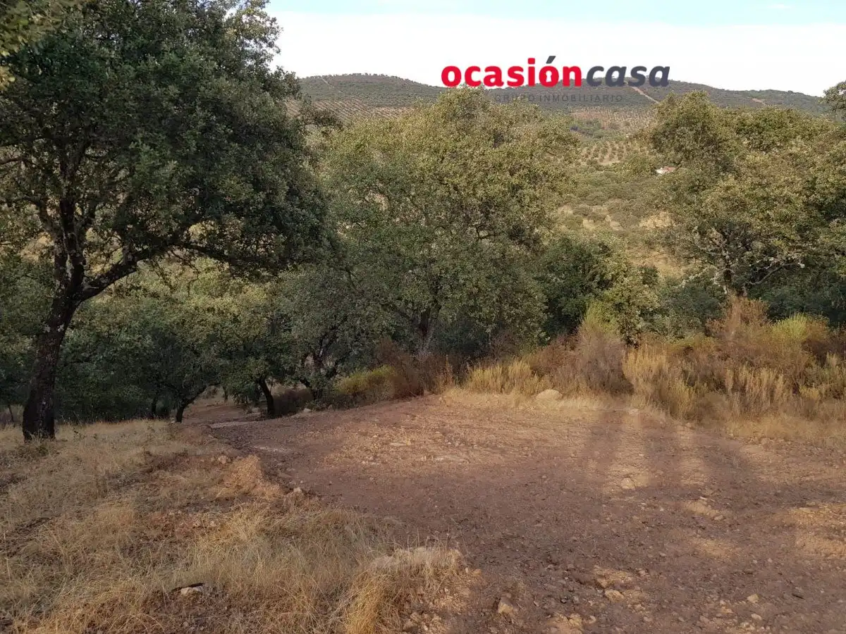 Finca rústica en venta en Espiel con Piscina y Amueblado