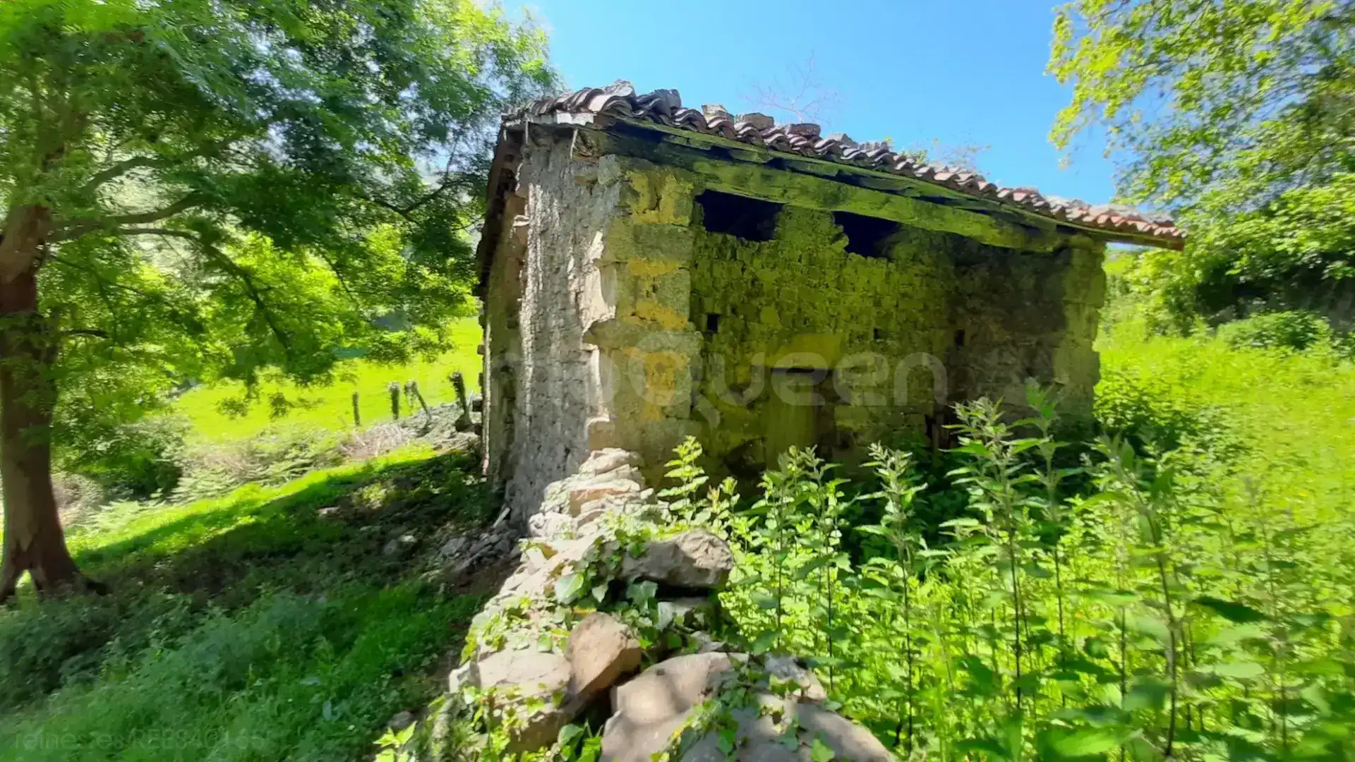 Terreno rustico in vendita a N/A, imagen 4