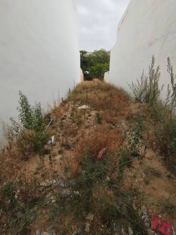 Terreno residencial en Venta en Avinguda de la Albufera en Sedaví