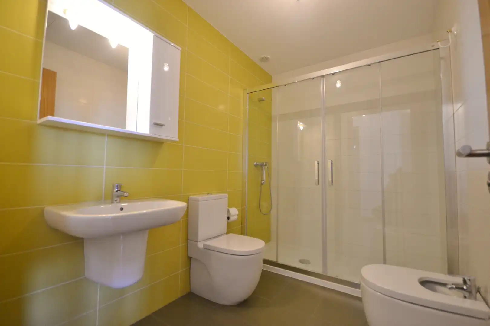 Apartament de lloguer a Avenida da Coruña, A Milagrosa