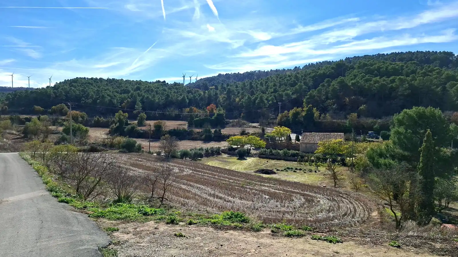 Terreno rústico en venta en Vallbona de Les Monges, imagen 53