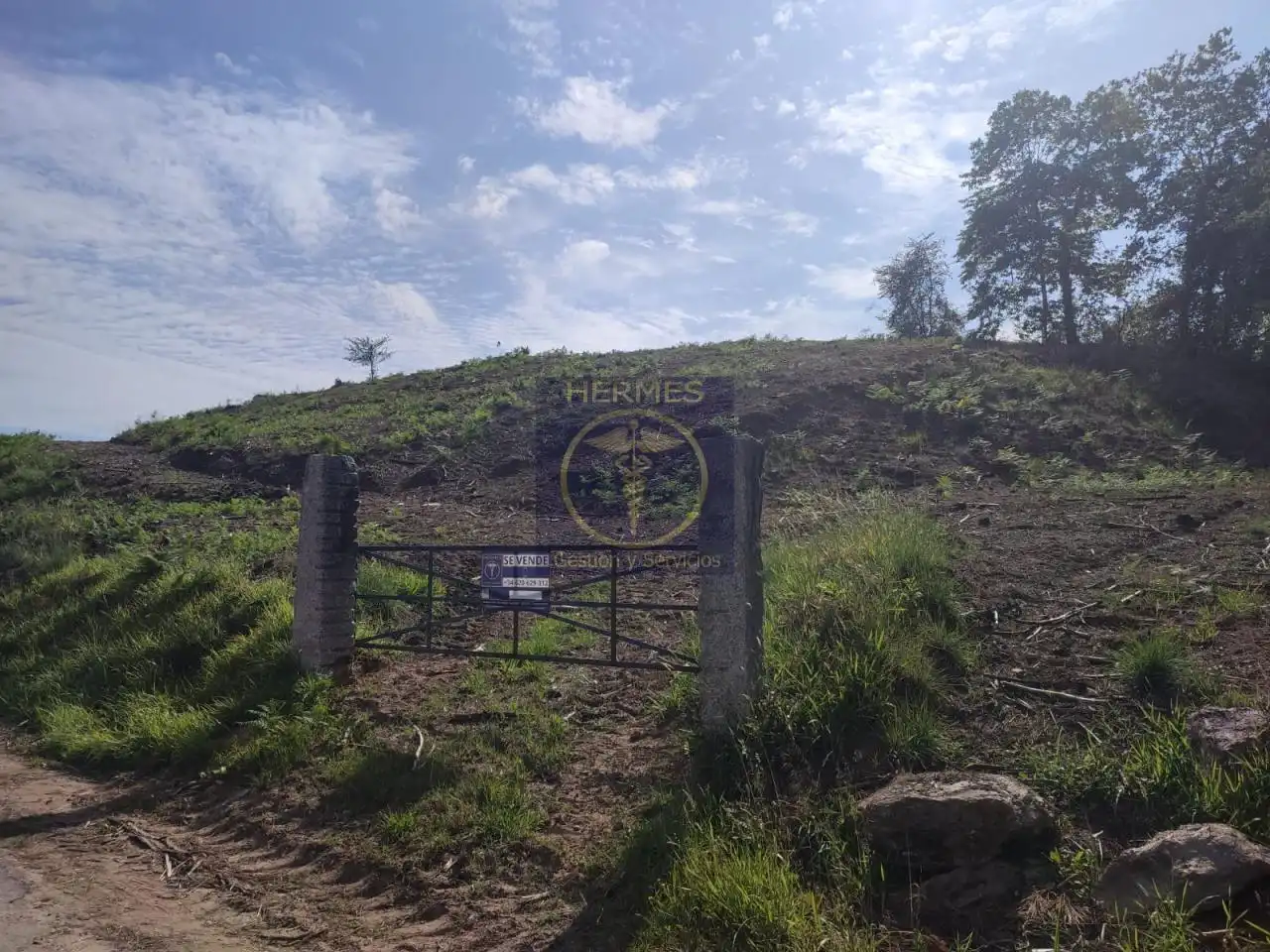 Land for sale in Tui
