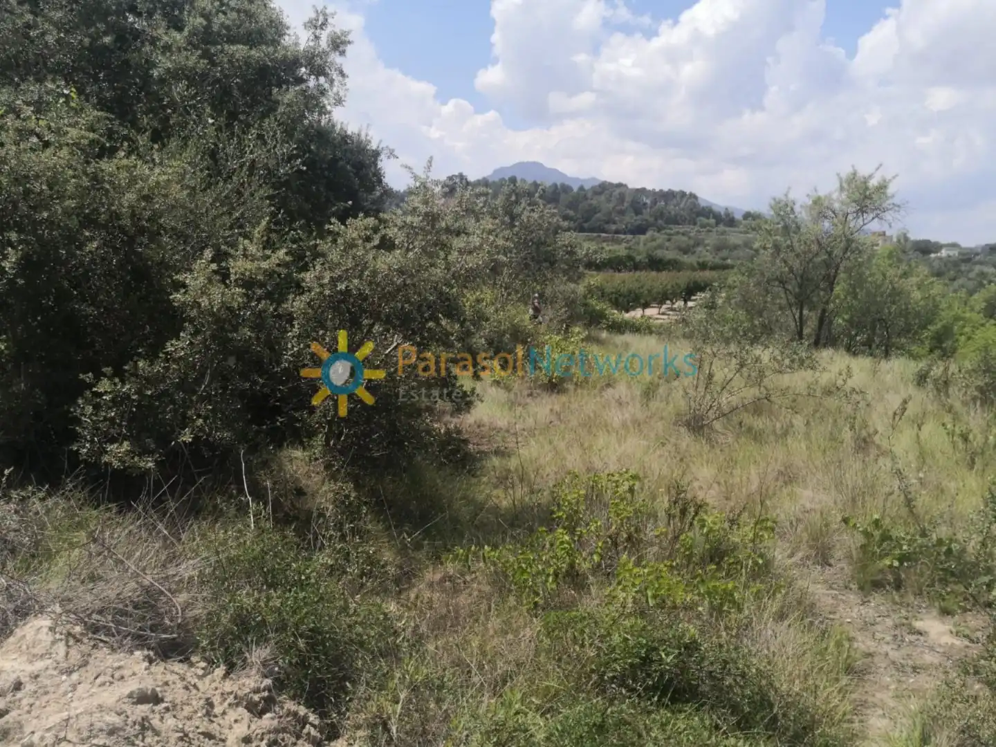 Terreno rustico in vendita a Castelló de Rugat