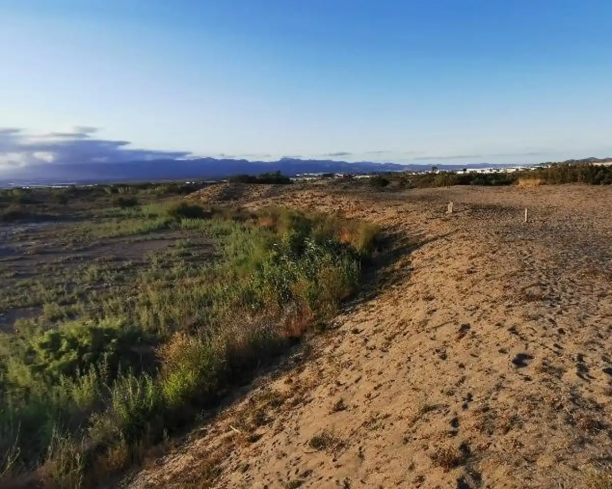 Terreno rustico in vendita a Camino LOS HUERTOS, imagen 43