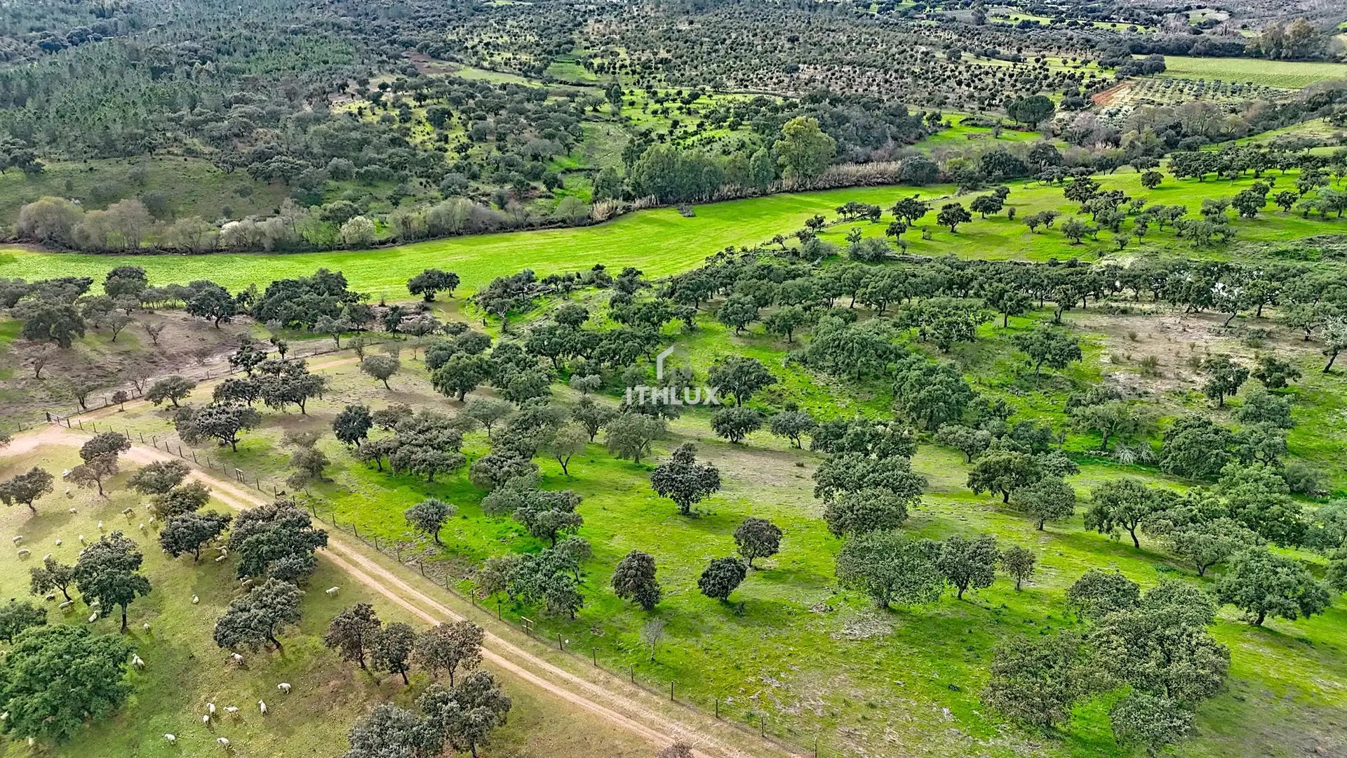 Finca rústica en venda en La Codosera