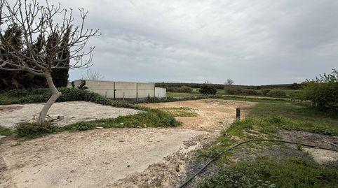 Photo 3 of Land for sale in Pilas, Pilas, Sevilla