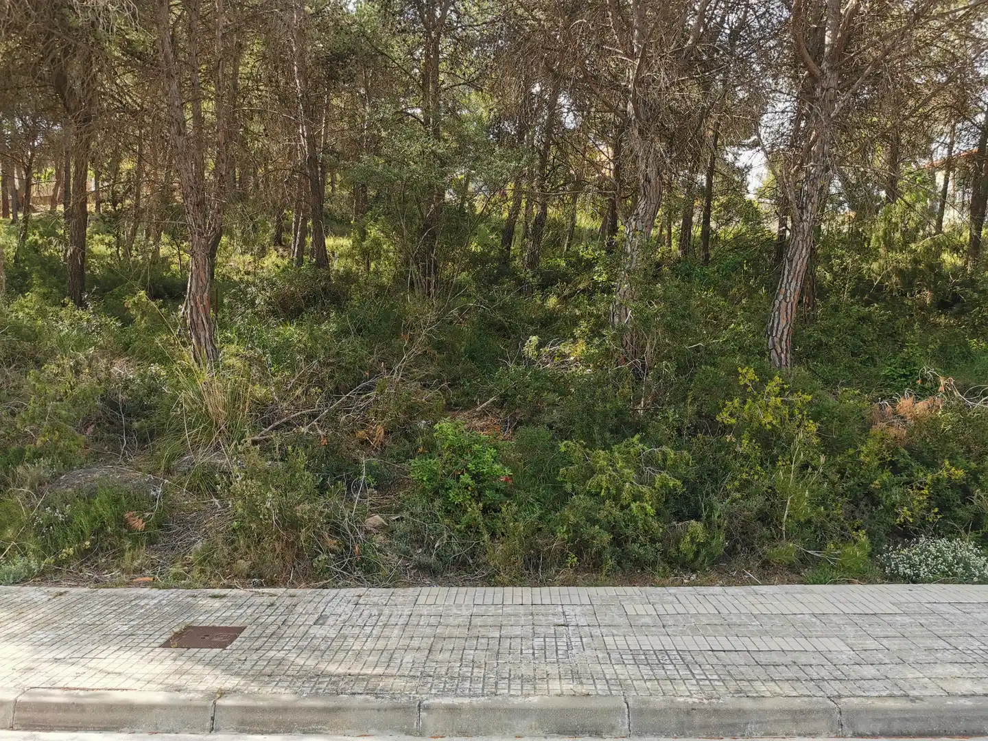 Residential land for sale in Carrer Noguera 12