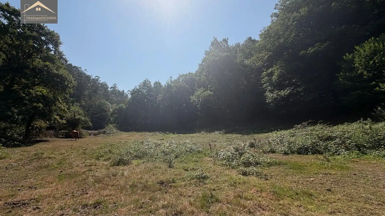 Residential land for sale in Ruente, imagen 3