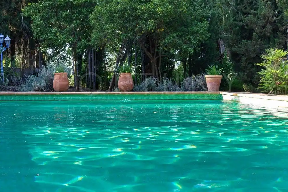 Piscina de Finca rústica en venda en Archidona amb Calefacció, Jardí privat i Terrassa