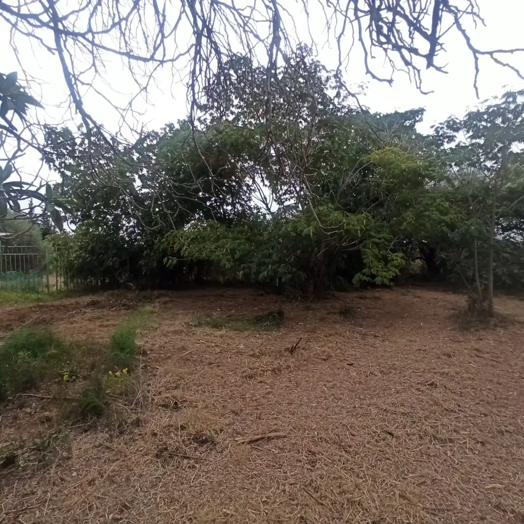 Finca rústica en venta en La Selva del Camp