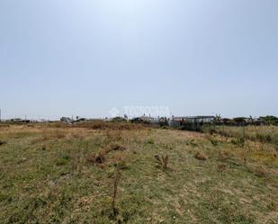 Land for sale in Vejer de la Frontera