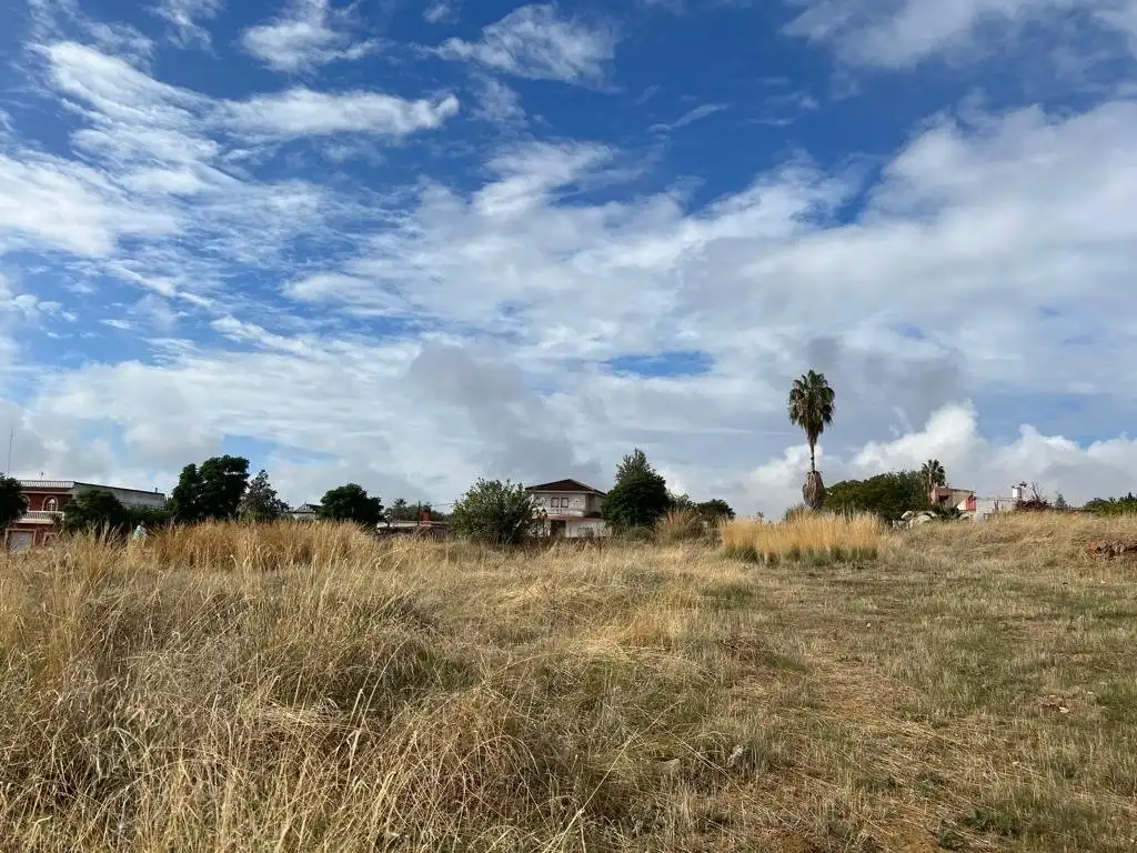 Lands and plots for sale in Guillena pueblo, imagen 3