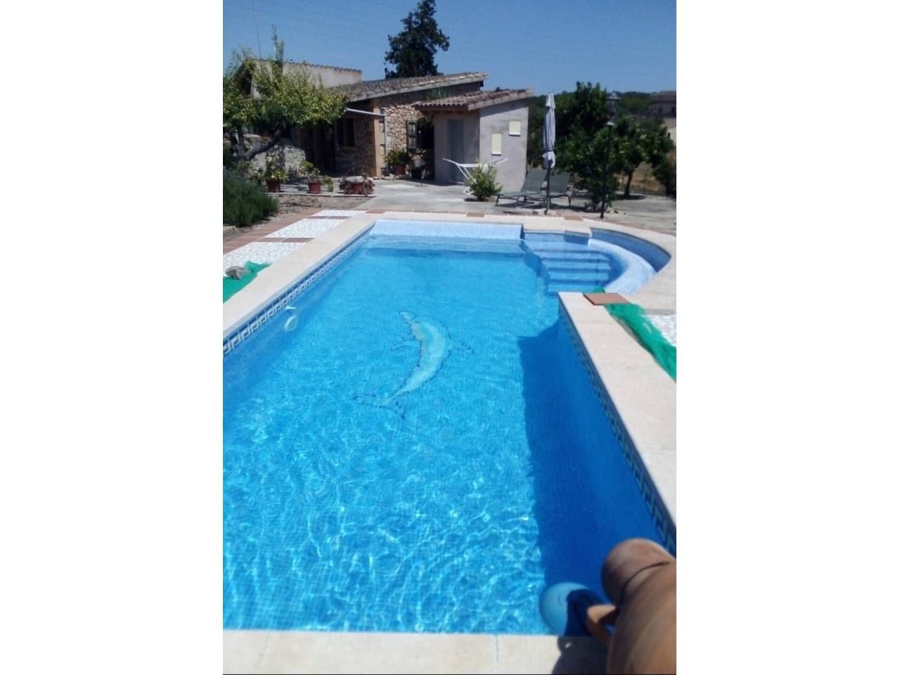 Swimming pool of Country house for sale in Manacor  with Terrace, Swimming Pool and Furnished