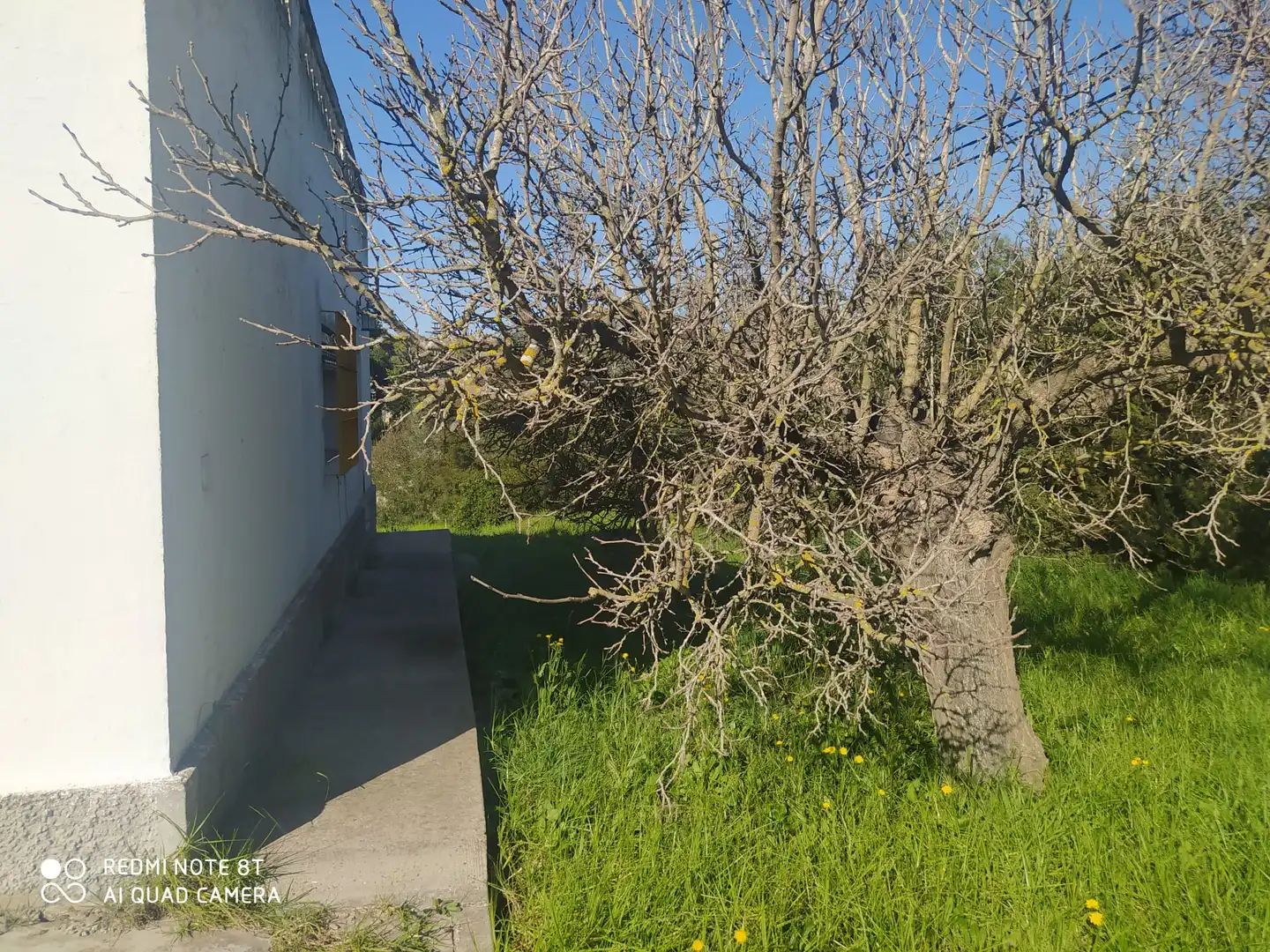 Houses for sale in Chiclana de la Frontera  with Private garden, Terrace and Storage room