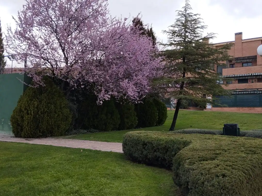 Flat for rent in Villanueva de la Cañada, Madrid