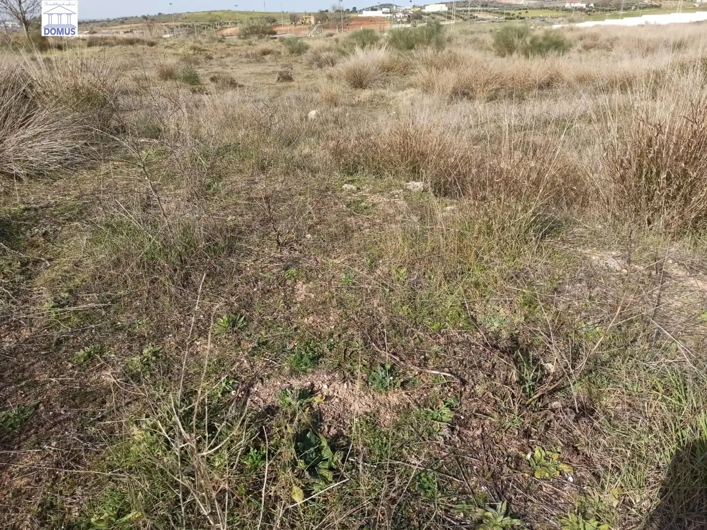 Terreni e lotti in vendita a Norte, imagen 7