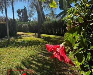 Jardí de Pis de lloguer en Rota amb Terrassa, Piscina i Moblat