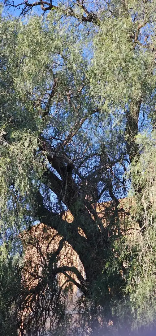 Finca rústica en venda a Miranda