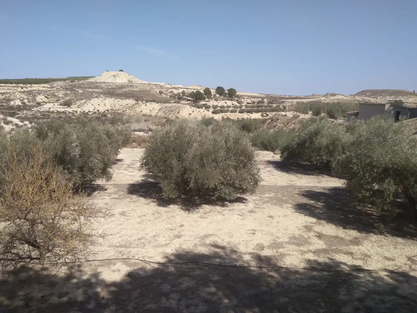 Terreni e lotti in vendita a Campos del Río, imagen 19