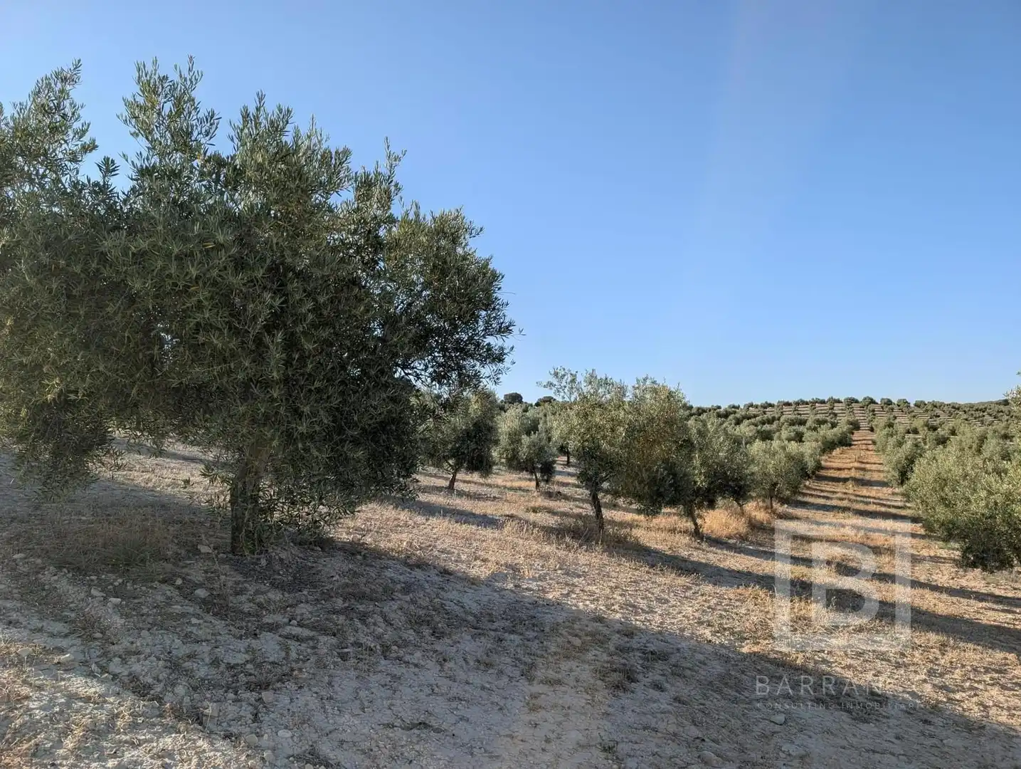 Terreno rustico in vendita a Maracena, imagen 4