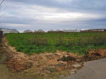 Terreni e lotti in vendita a Tordesillas