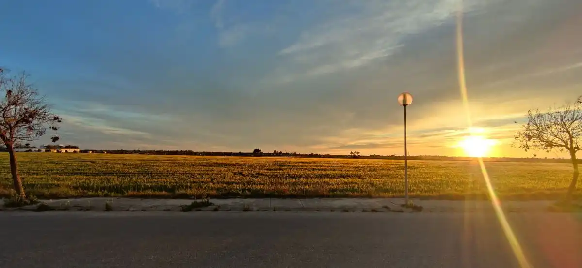 Vista exterior de Casa o xalet en venda en Palomares del Río amb Aire condicionat, Calefacció i Jardí privat