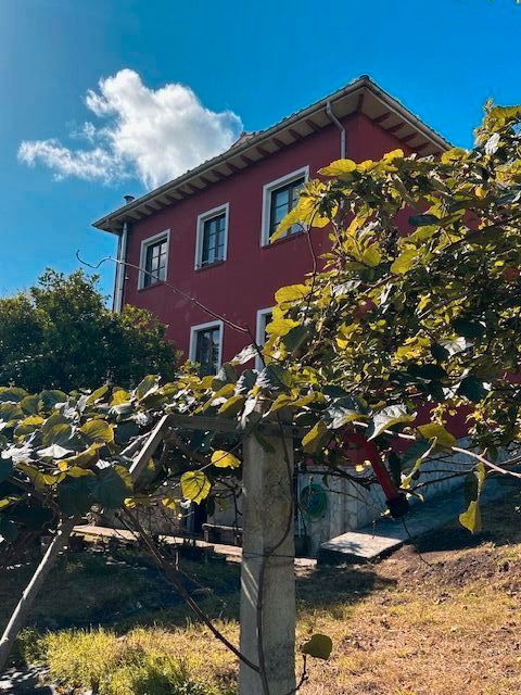Vista exterior de Casa o xalet en venda en Pravia amb Calefacció, Jardí privat i Parquet