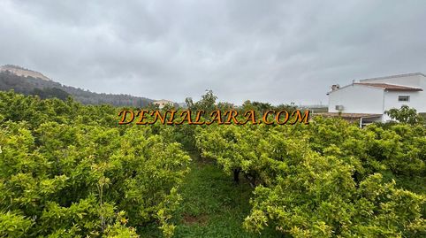 Terreno rustico de 1000m en Pego, imatge 3