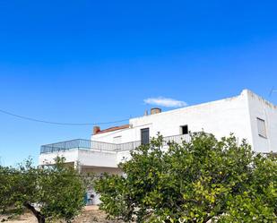 Vista exterior de Finca rústica en venda en Albatera amb Traster i Piscina